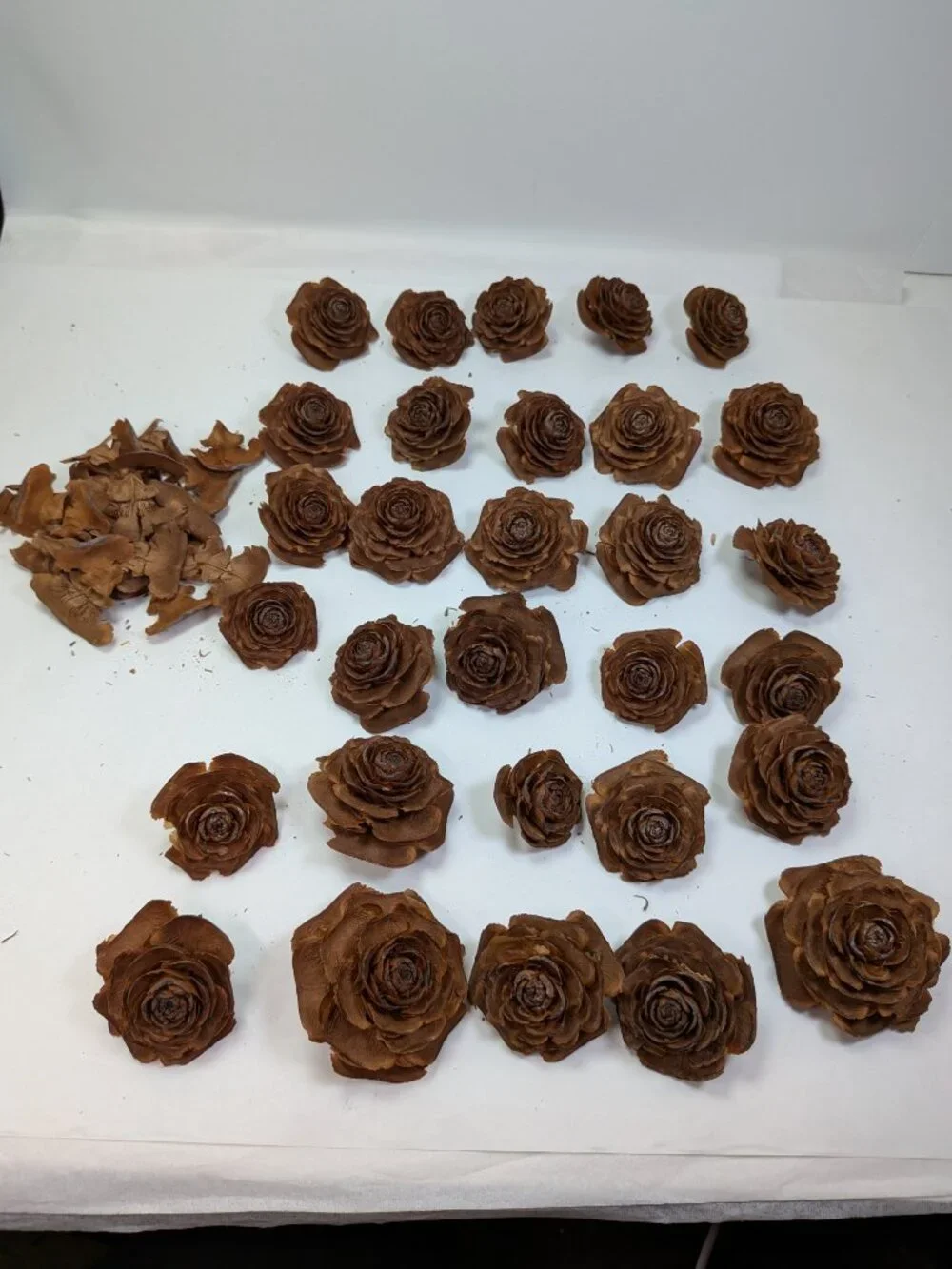 30 Real Cedar Rose Cones Natural Wooden Flowers Crafting & Wreath Supply
